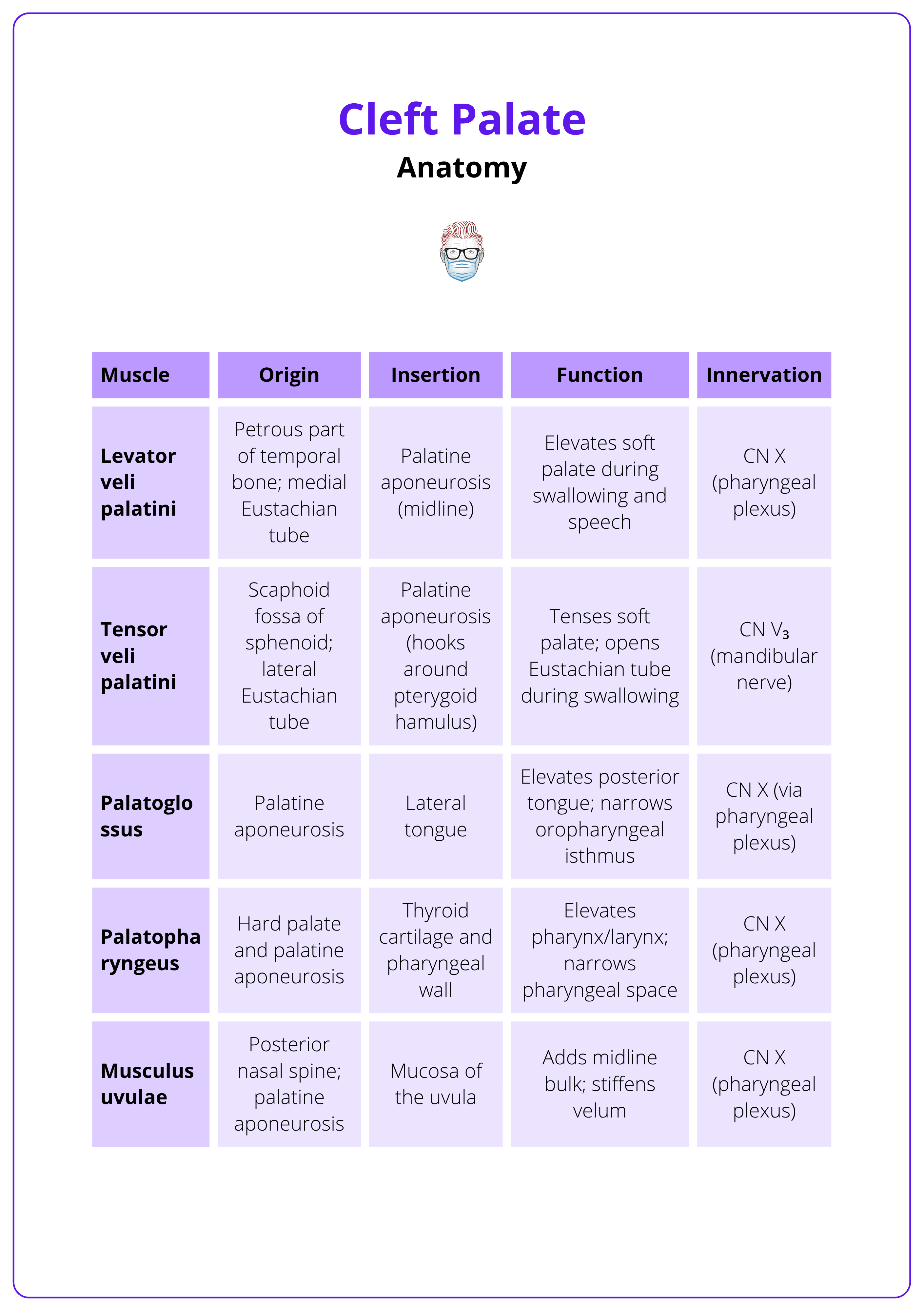 Five principal muscles of the soft palate