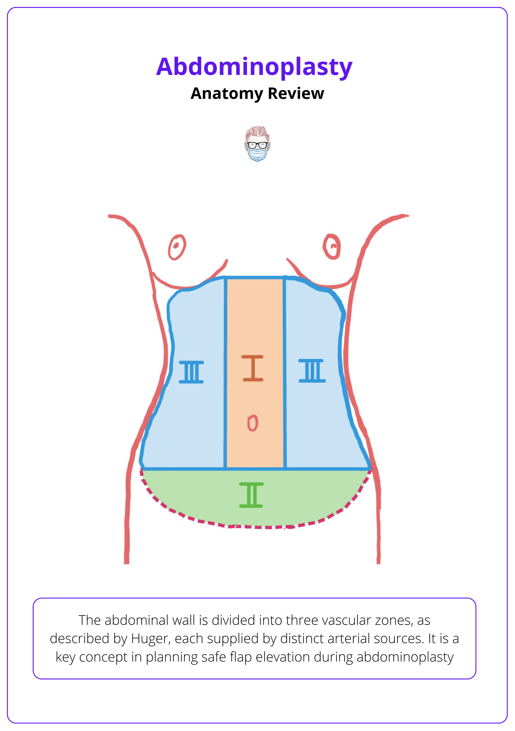 Huger zones of the abdominal wall
