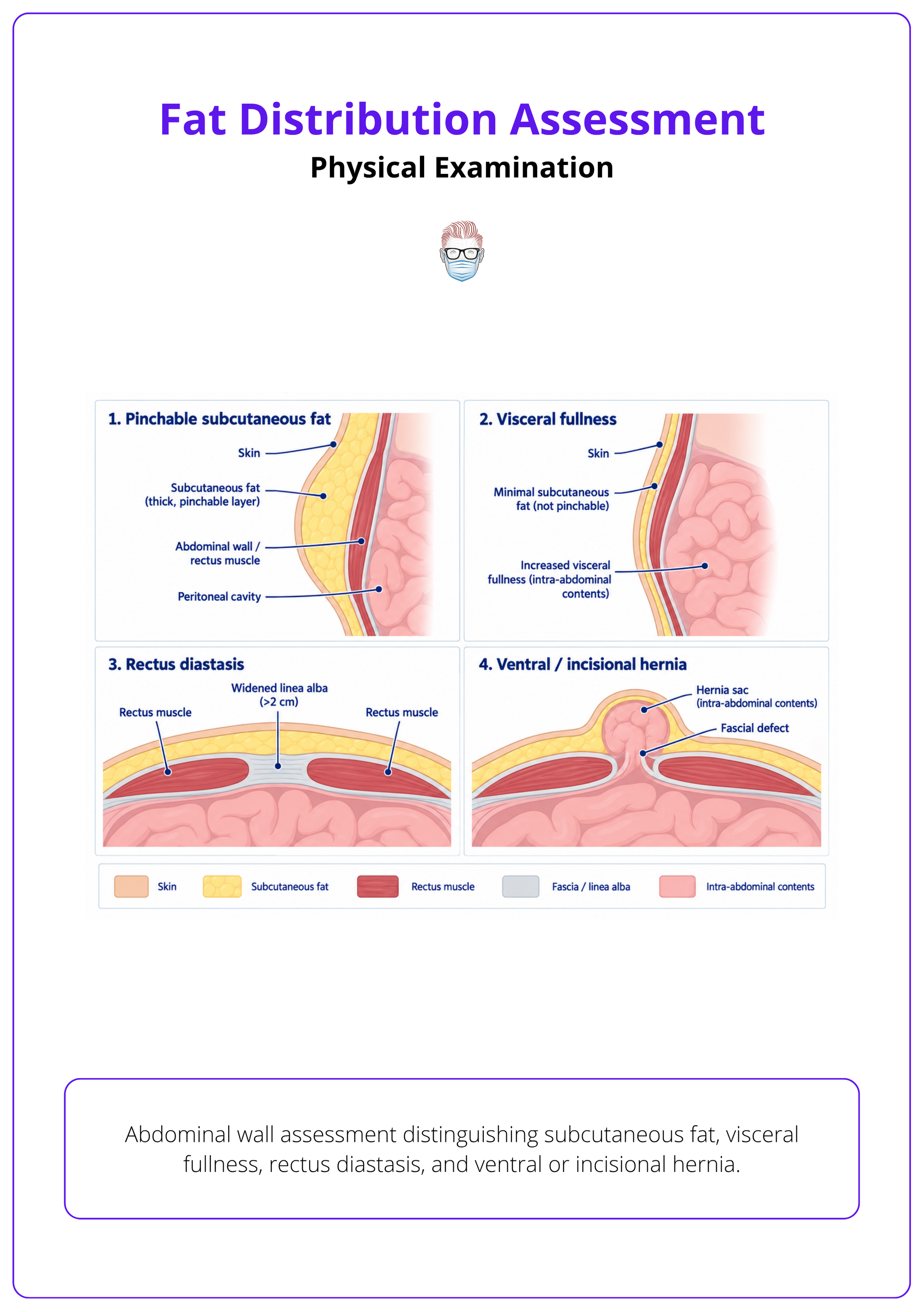 Abdominal wall assessment distinguishing subcutaneous fat, visceral fullness, rectus diastasis, and ventral or incisional hernia.