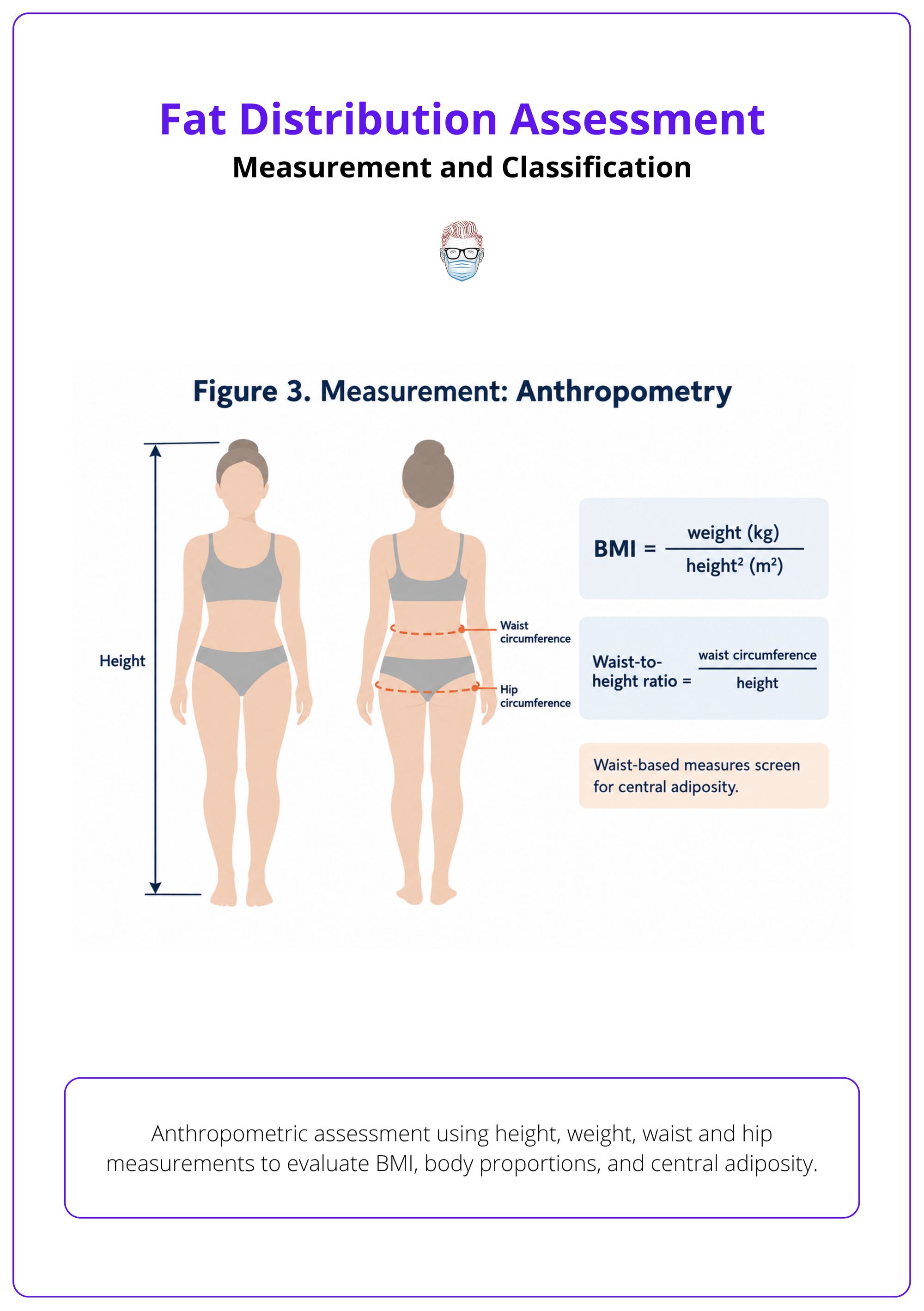 Anthropometric assessment using height, weight, waist and hip measurements to evaluate BMI, body proportions, and central adiposity.