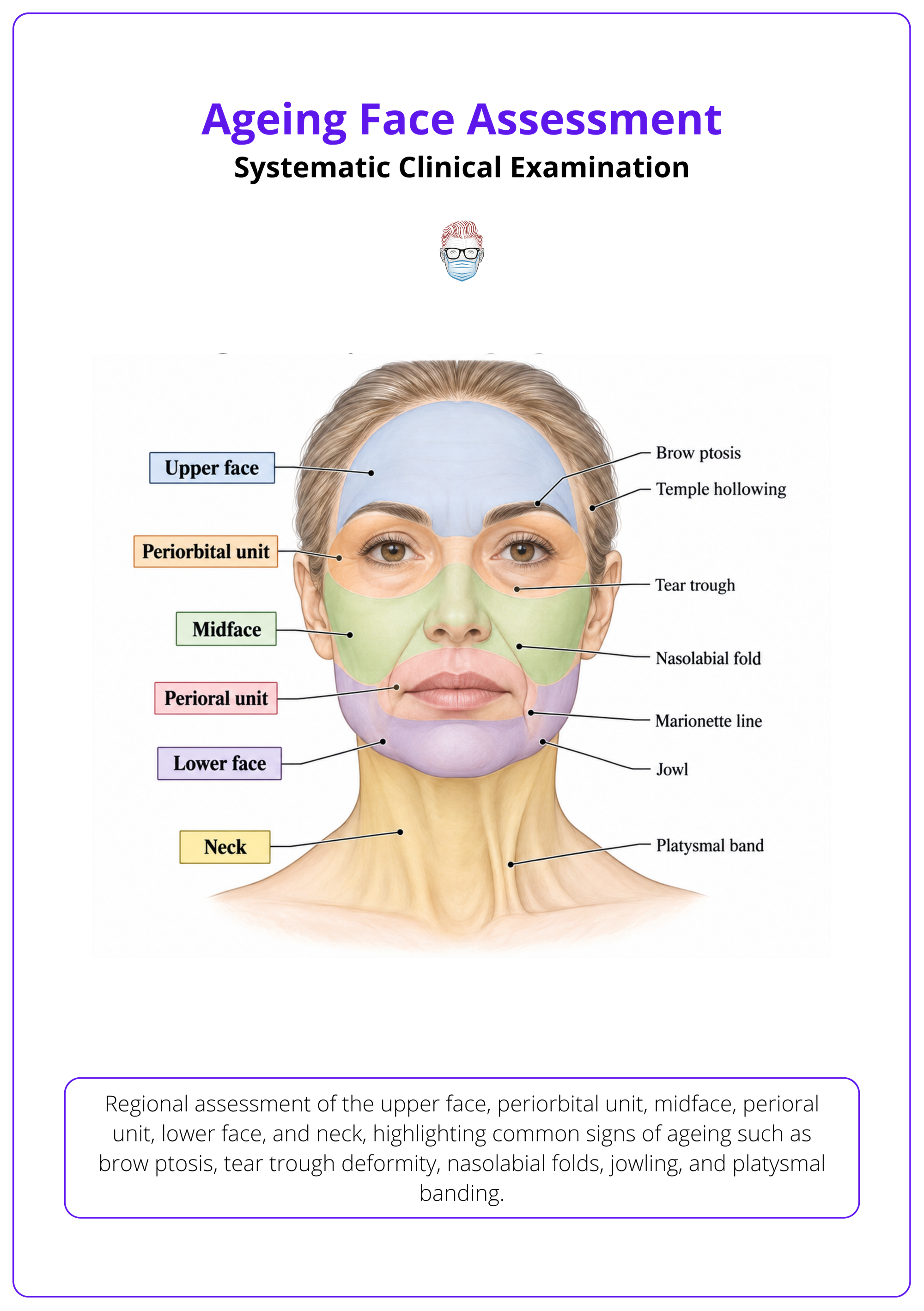 Regional assessment of the upper face, periorbital unit, midface, perioral unit, lower face, and neck, highlighting common signs of ageing such as brow ptosis, tear trough deformity, nasolabial folds, jowling, and platysmal banding.