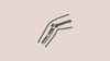 Lower Limb