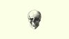 Craniofacial Distraction Osteogenesis