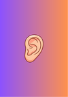 External Ear Anatomy: Neurovascular Supply, Landmarks, & Aesthetic Subunits