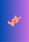 Lower Limb Reconstruction: Clinical Assessment, Decision Algorithm, & Flap Options