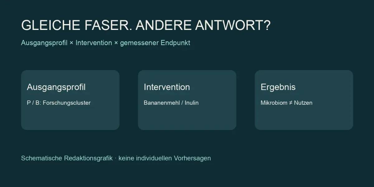 Schematische Redaktionsgrafik: Ausgangsprofil, Intervention und Ergebnis werden getrennt betrachtet.