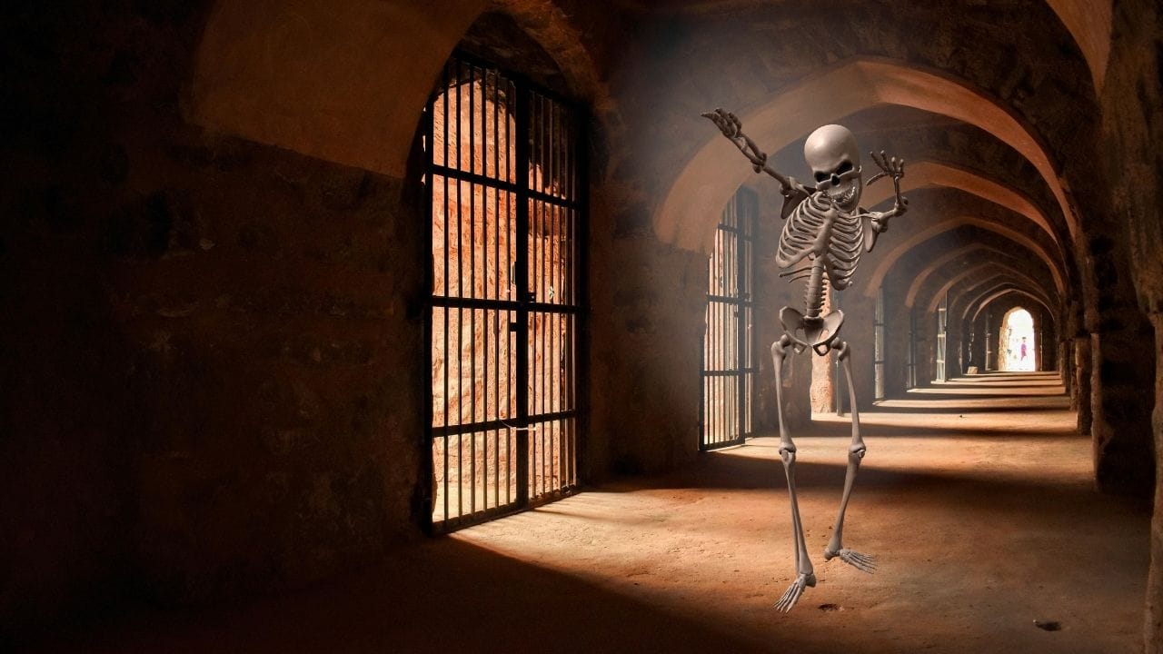 Spooky Skeleton GIF Evil Skeleton Meme Generator Halloween
