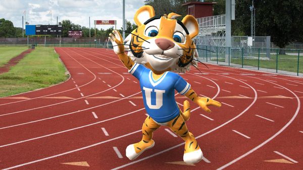 Best School Mascot Ideas and How to Design your own Mascot with krikey AI mascot generator