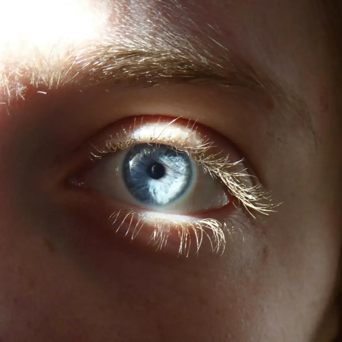 Augenentwicklung  und Augengesundheit  brauchen Sonne