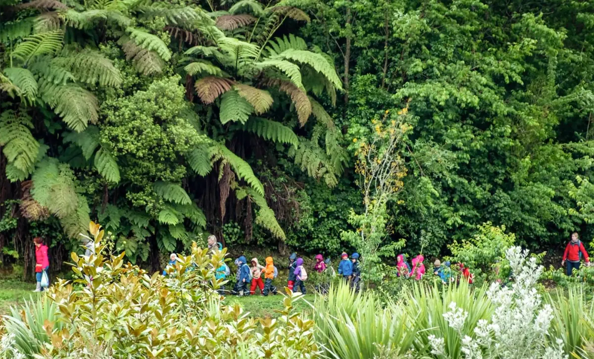 Tauranga: Den Weg in die Schule neu denken