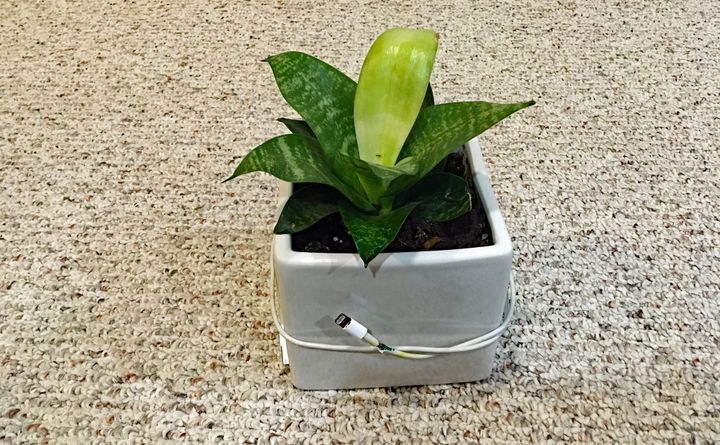 Apple Wins Design Awards!