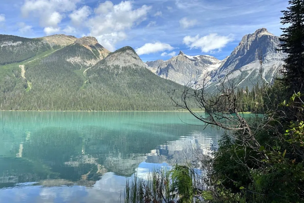 The Turquoise Beauty Of Emerald Lake In Yoho National Park BC Canada