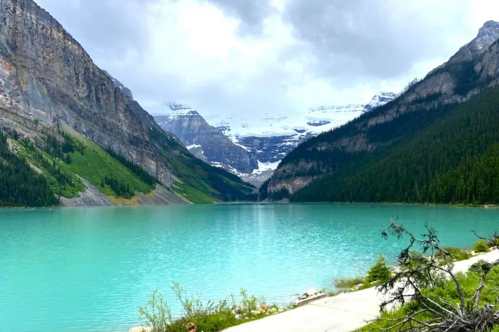 Stunning Turquoise Of Lake Louise In Summer Banff National Park Alberta
