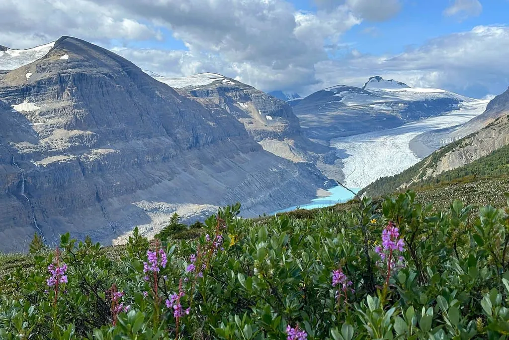 Saskatchewan Glacier From Parker Ridge Hike Banff National Park Alberta Canada