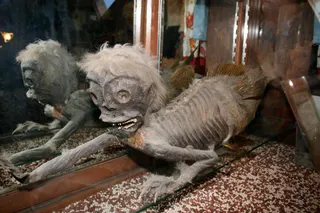 Banff Merman: A Visitor’s Guide To Banff’s Most Unusual Display