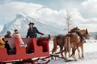 Sleigh Rides In Banff & Lake Louise - What To Expect
