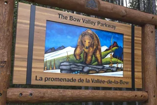 Cyclists Rejoice, Drivers Take Note: The New Bow Valley Parkway Experience