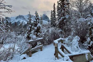 Walking The Larch Island Interpretive Trail In Canmore