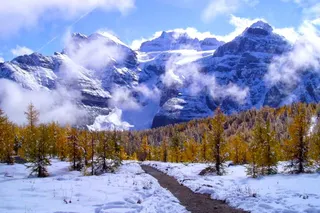 Larch Season Banff: Where To See The Best Fall Colours
