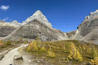 Banff In October: Golden Larches, Elk Rut And The First Snowfalls