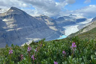 Don’t Get Fined In Banff: National Park Rules You Need To Know