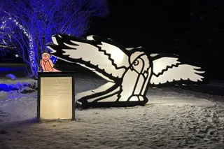 In Search of Christmas Spirit Banff: A Magical Winter Walk