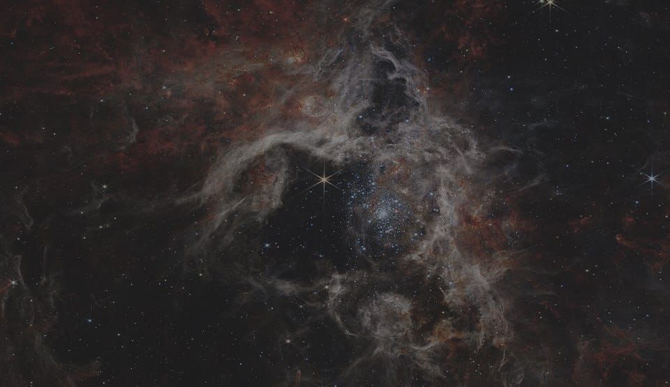 SpaceX, Anthropic, and the Opportunity Cost of Knowing