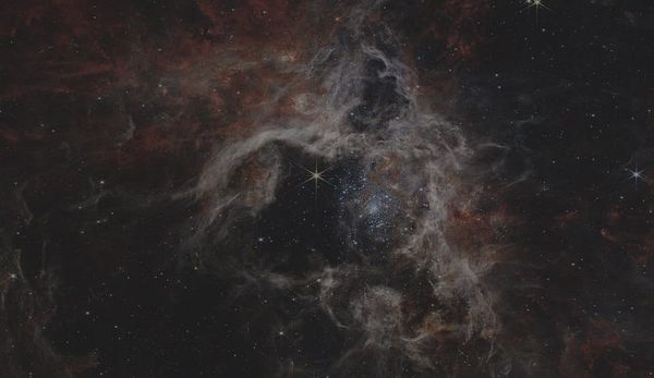 SpaceX, Anthropic, and the Opportunity Cost of Knowing