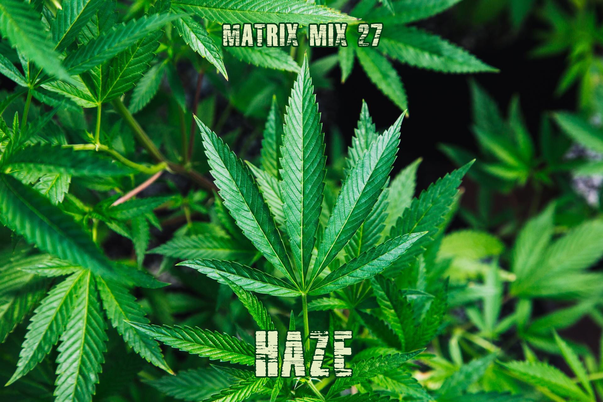 Matrix - Haze