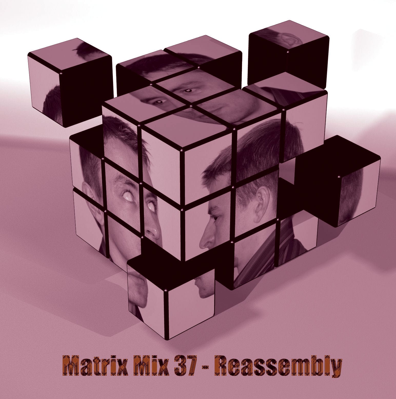 Matrix - Reassembly
