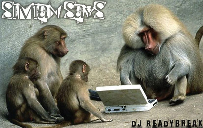 DJ ReadyBreak - Simian Says