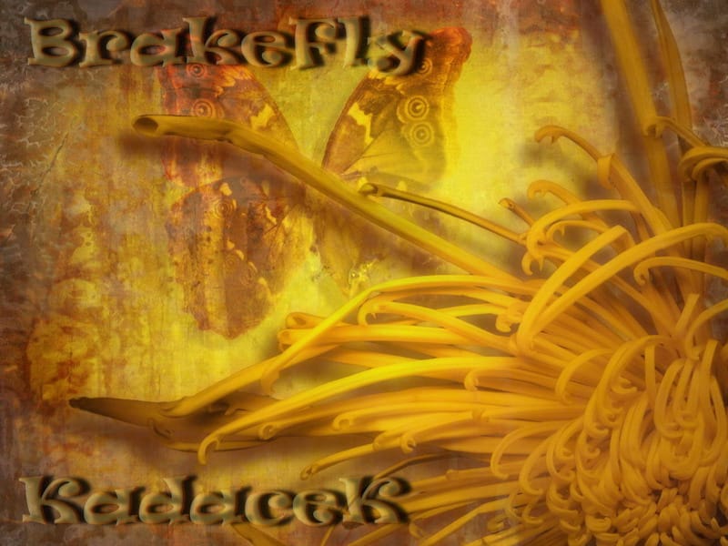 KadaceK - BrakeFly