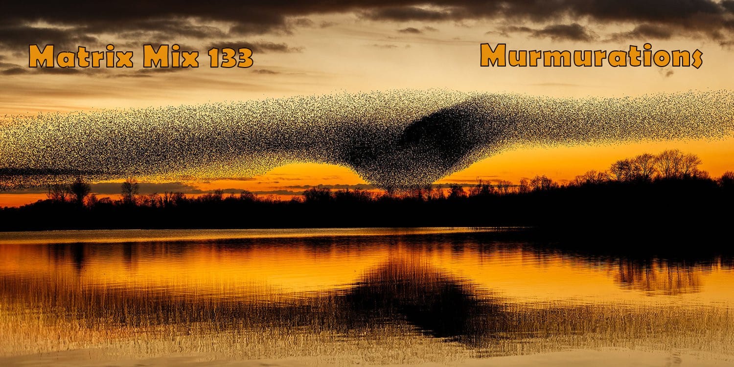 Matrix - Murmurations