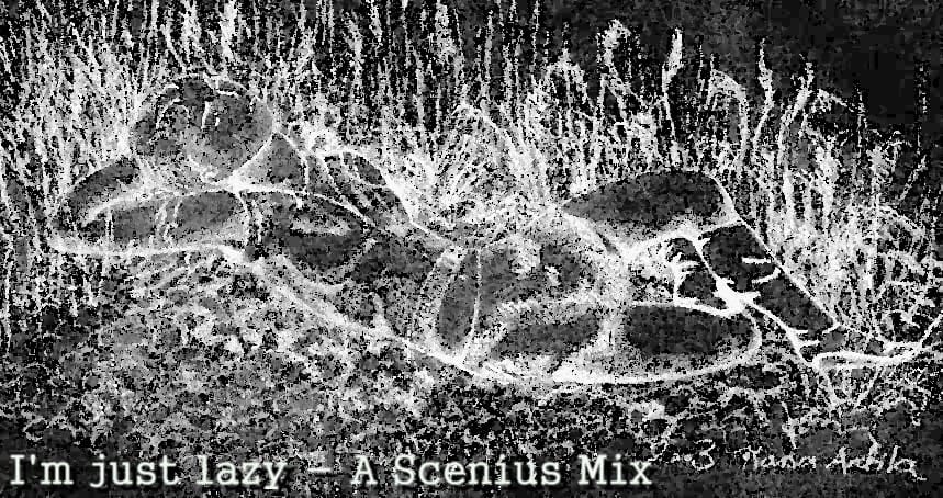 Scenius - I Like It Quiet