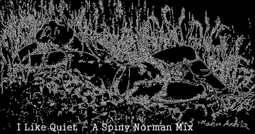Spiny Norman - I Like Quiet