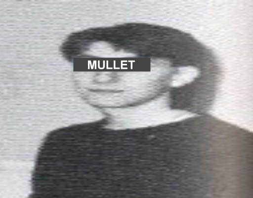 Alkizz - Mullet