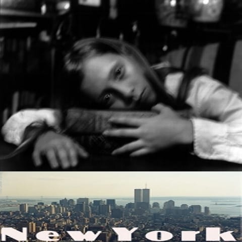 Assorted - New York