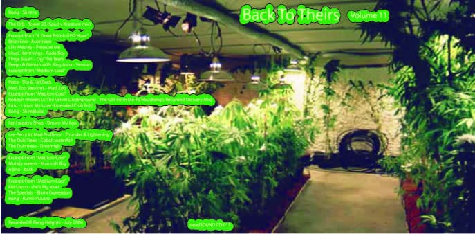 Bong - Back To Theirs