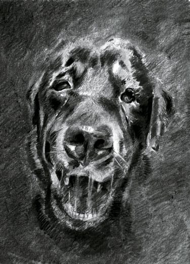 Naz - Black Dog