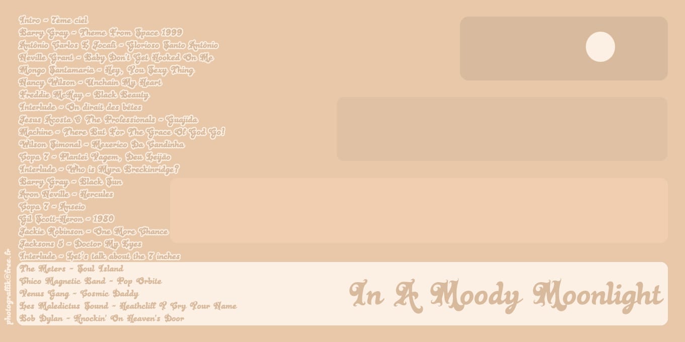 Boogie Maggoo - In A Moody Moonlight
