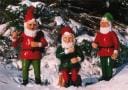 The Geez - Christmas Programme