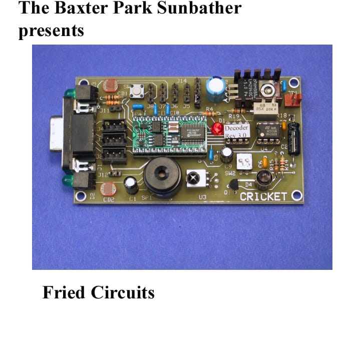 Baxter Park Sunbather - Fried Circuits