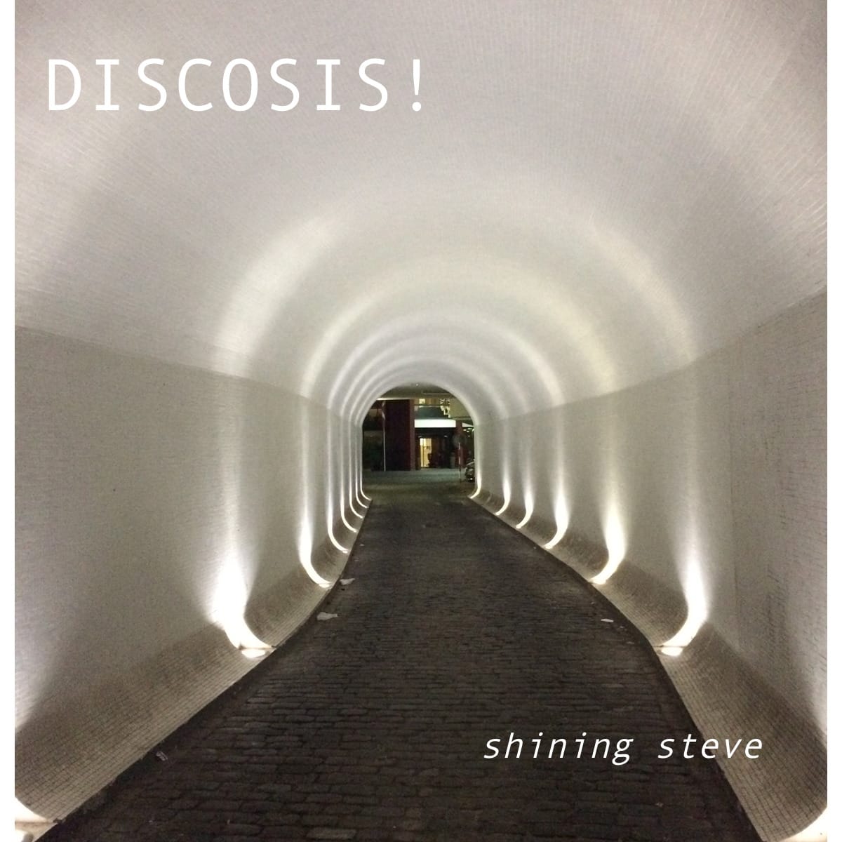 Shining Steve - Discosis