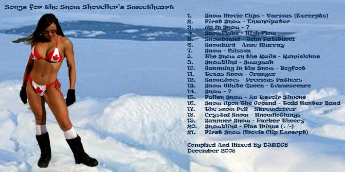 DJRDGB - Songs For The Snowshoveller’s Sweetheart