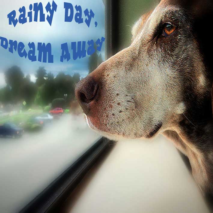 DJRDGB - Rainy Day
