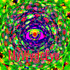 Dr. Jimmy - MyWydeEye