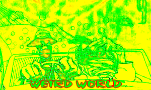Dr. Jimmy - Weird World