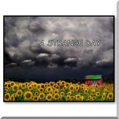 Dr. Jimmy - A Strange Day