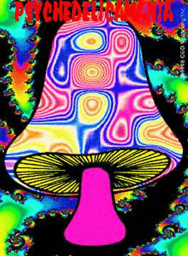 Dr. Jimmy - Psychedelicamania