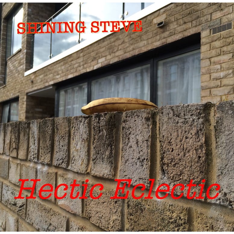 Shining Steve - Hectic Eclectic